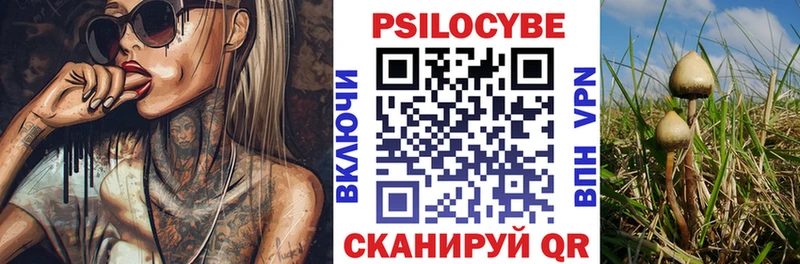 Псилоцибиновые грибы ЛСД  Купить закладки  Константиновск 